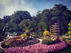 -上海共青森林公园