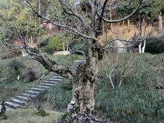 -夏霖九天银瀑风景区