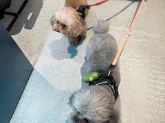 -E+有冰工厂·昆仑寒宫2(五角场店)