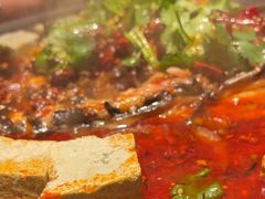 -师烤·豆花烤鱼(广州荔湾扬韬广场店)