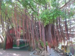 -大嶝英雄三岛战地观光园