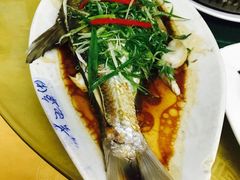 -高记惠州风味楼(惠城店)