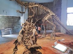 -自贡恐龙博物馆
