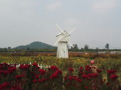 景点-北京东方普罗旺斯薰衣草庄园