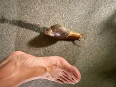 -三亚太阳湾柏悦酒店