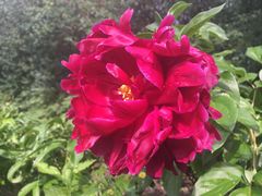 -长春公园(普阳街道)