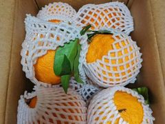 -百果园(郑东商业中心店)