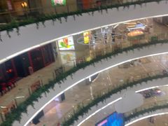 -安安宠物医院(情缘分院)