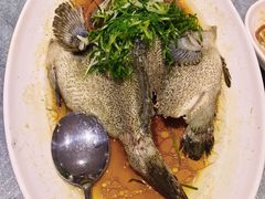 -骏丰酒楼(黄编店)