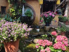 -园林美食城·本土农家菜(杨和镇店)