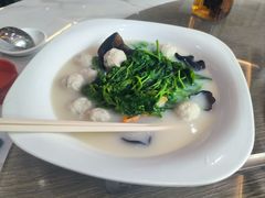-港升鱼师傅·中山脆肉鲩