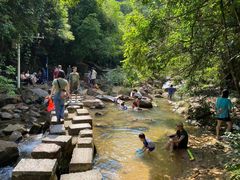 -广州白江湖森林公园