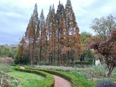 -昆山城市生态森林公园