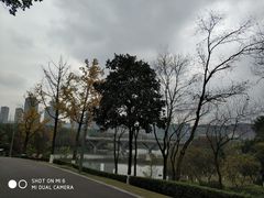 -重庆中央公园(渝北区)