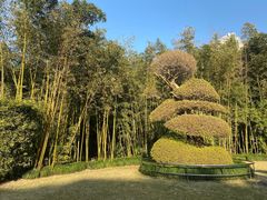 -苏州河梦清园环保主题公园