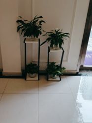 -香秀空间科技抗衰·美容中心