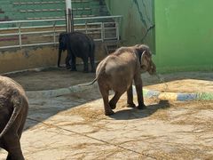 -大连森林动物园