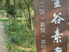 -灵谷景区