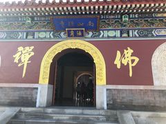 -龙口南山旅游景区