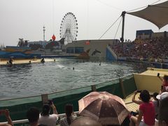 -秦皇岛乐岛海洋王国