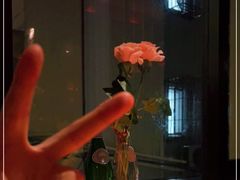 -花马天堂云南餐厅 Lost Heaven(外滩店)