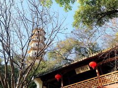 -江心屿景区