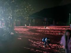 -石燕湖生态旅游景区