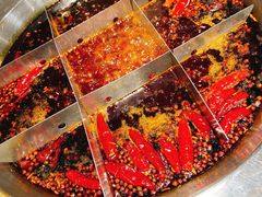 -大龙火锅(老店)