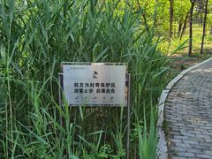 -翠湖国家城市湿地公园