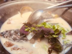 -陈大锅·岳阳鱼馆·地道岳阳菜(美食街店)