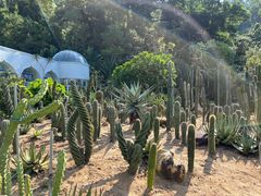 -深圳仙湖植物园