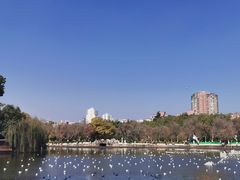 -翠湖宾馆·中餐厅