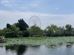 -无锡蠡湖国家湿地公园-蠡园