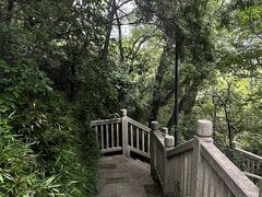-牛岗山公园