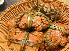 -蟹村草堂·苏式园林人文农家·大闸蟹