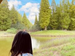 -黄海国家森林公园