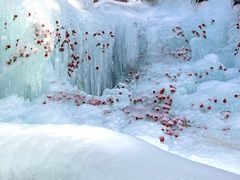 -洛阳白云山景区