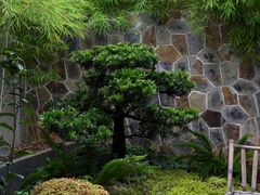 -山壹竹庭院餐厅