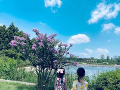 -东平国家森林公园
