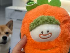 -大玩家超乐场(金华万达店)