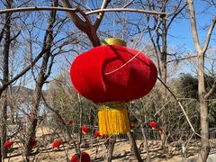 -塞上渔乡·农家菜·虹鳟鱼