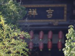 -大唐贡茶院