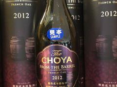 -TIAT DUTY FREE SHOP NORTH(羽田机场店)