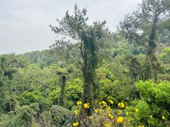 -白云山风景名胜区