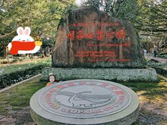 -海口火山口国家地质公园