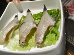 -锅说大脸毛肚重庆老火锅(佐阾店)