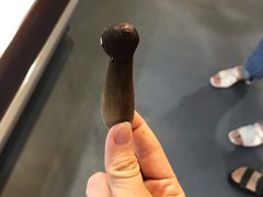 -七采菌园·石锅鱼野生菌火锅(环城北路店)