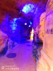 点击看大图 -奇幻萌宠部落(映月湖环宇城店)