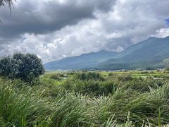 -腾冲北海湿地