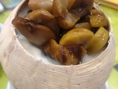 原只椰子炖奶-民信老铺(华盖路店)